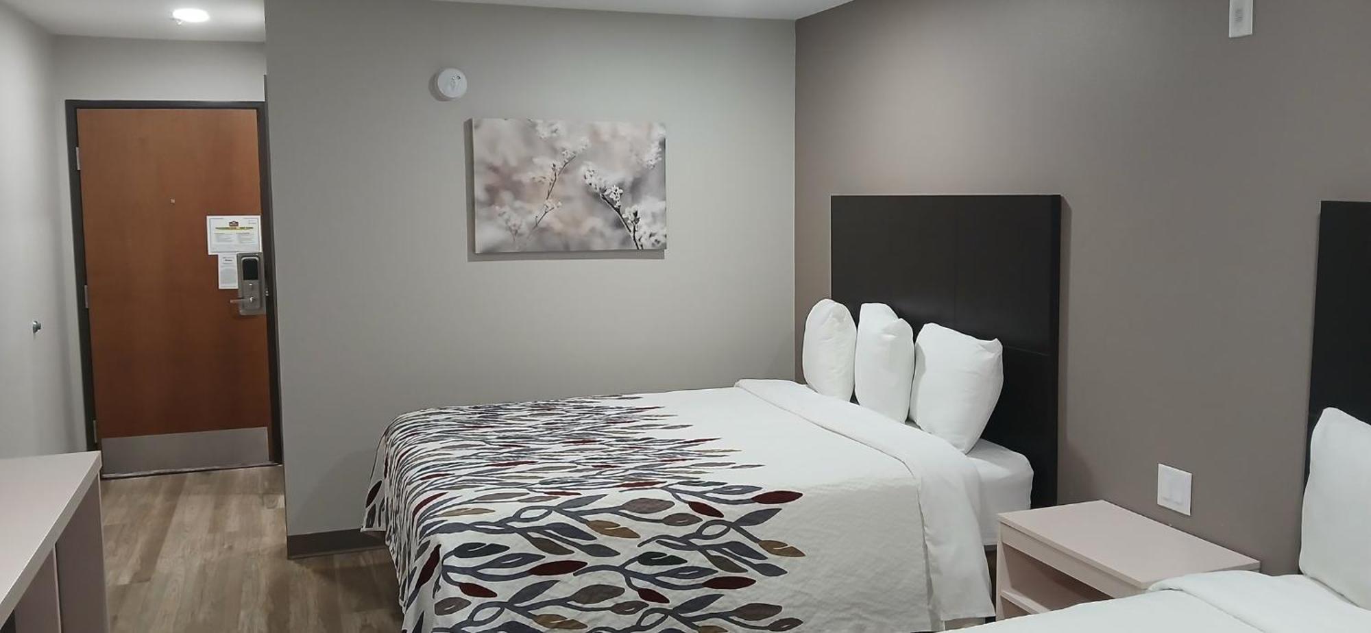 Red Roof Inn & Suites Euless - Dfw Airport Southwest Esterno foto